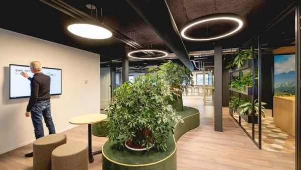 parella-emb-marketing